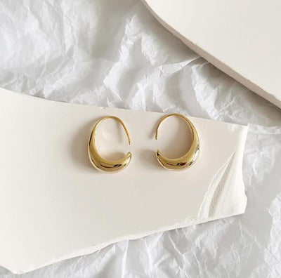 Luxurious Gold and Silver Earrings