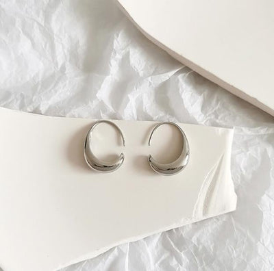 Luxurious Gold and Silver Earrings