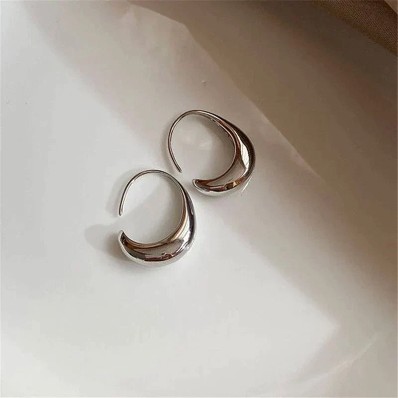 Luxurious Gold and Silver Earrings