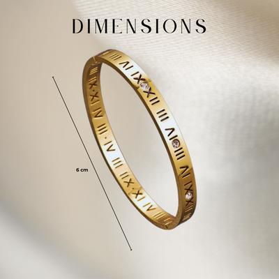 Titanium Metal Bracelet (Roman Numerals)